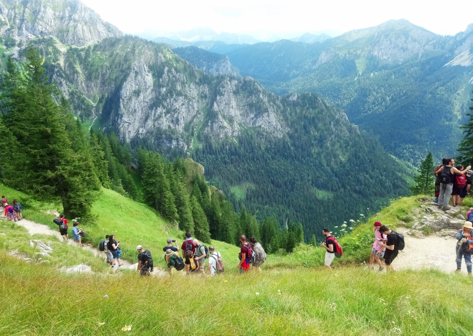 117606157_1492650497610242_6746553017071225310_n